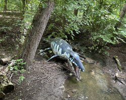 IMG-3279.jpeg
