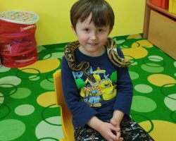 IMG-20250401-092017.jpeg